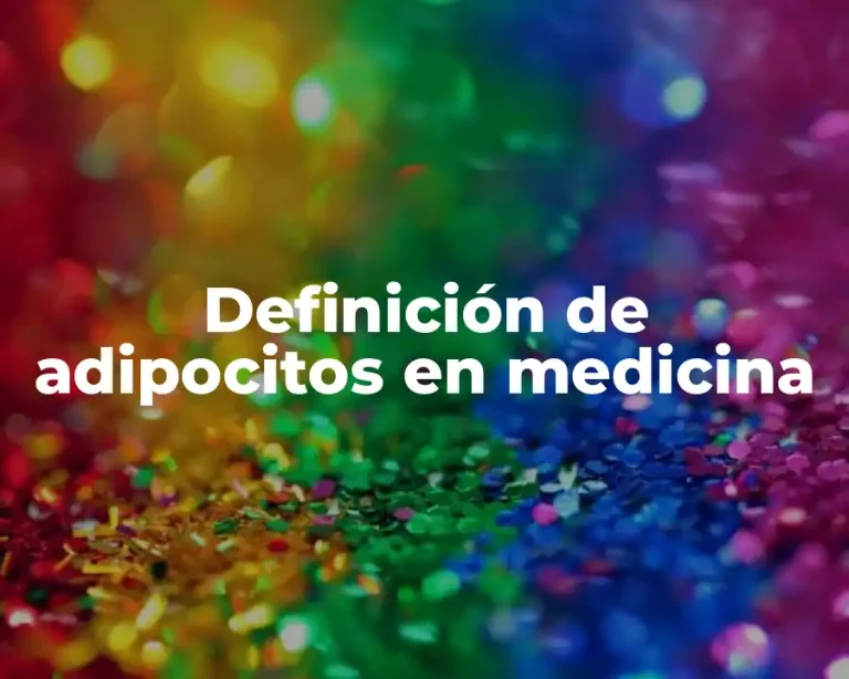 Definición de adipocitos en medicina