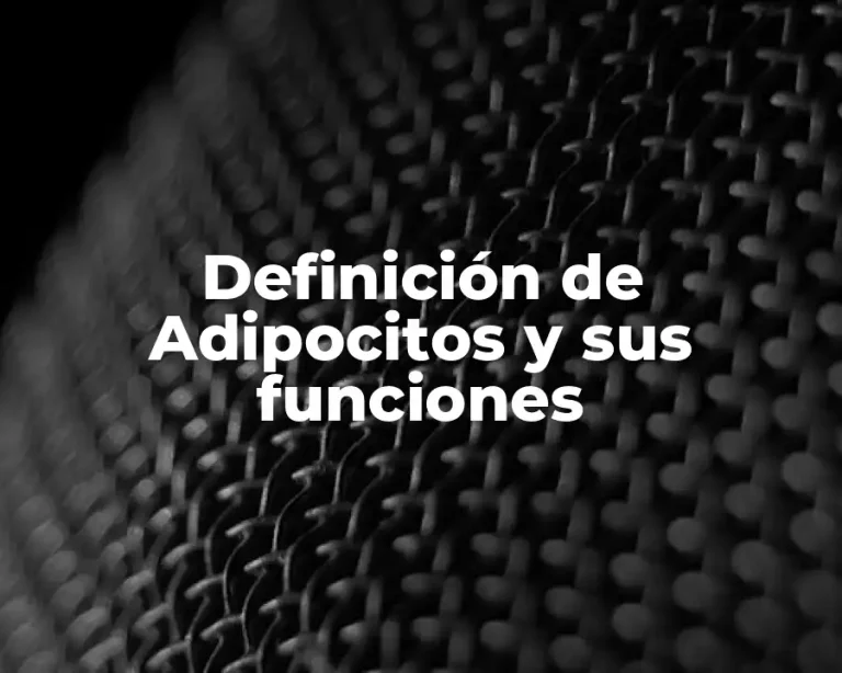 Definición de Adipocitos y sus funciones