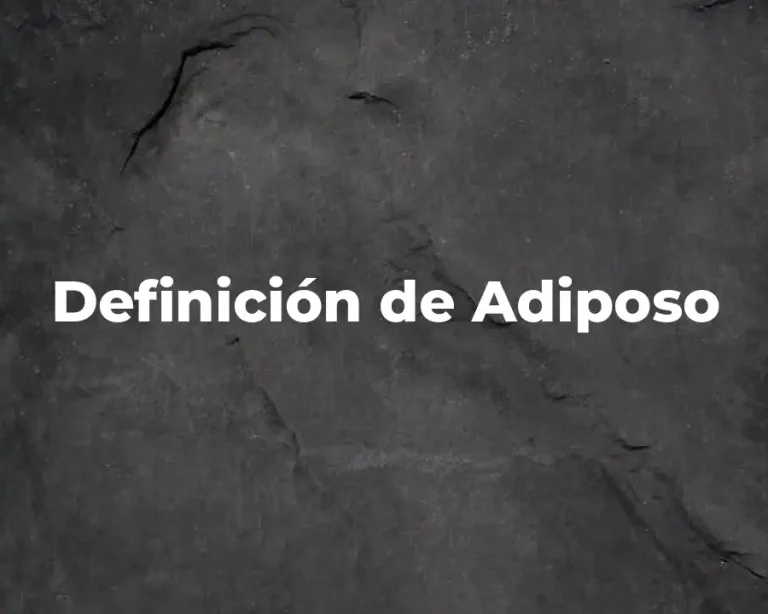 Definición de Adiposo