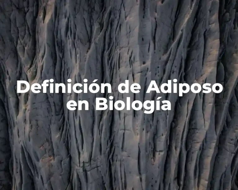 Definición de Adiposo en Biología