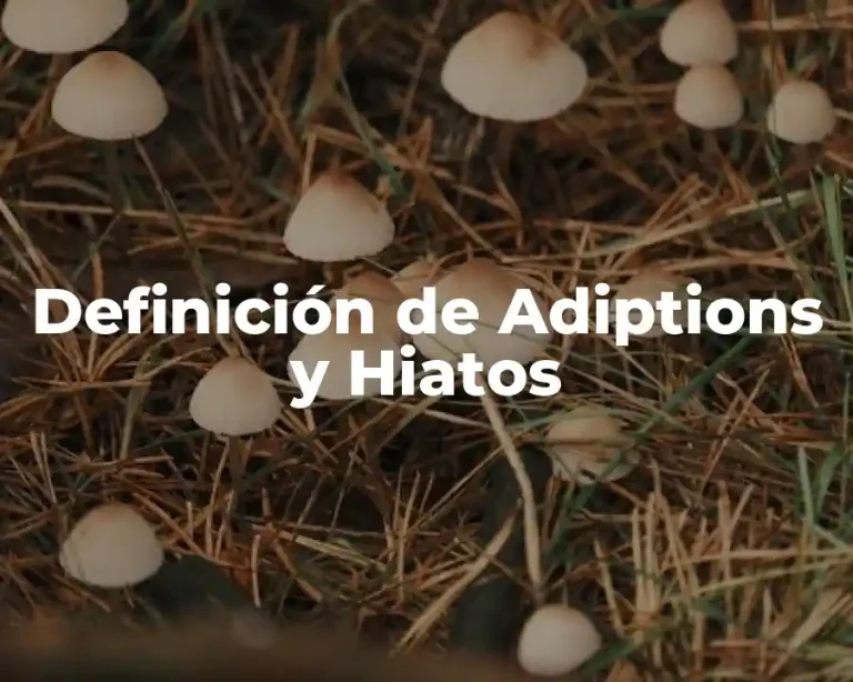 Definición de Adiptions y Hiatos