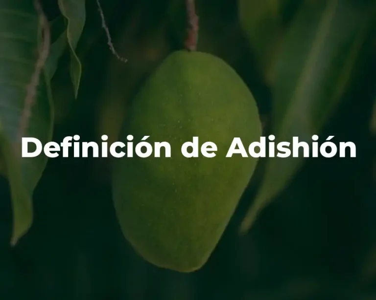 Definición de Adishión