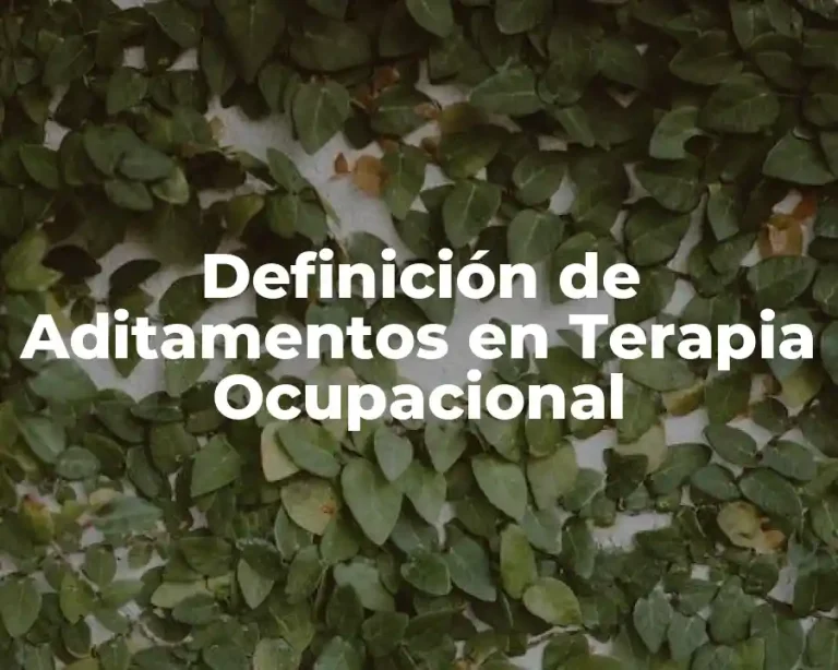 Definición de Aditamentos en Terapia Ocupacional
