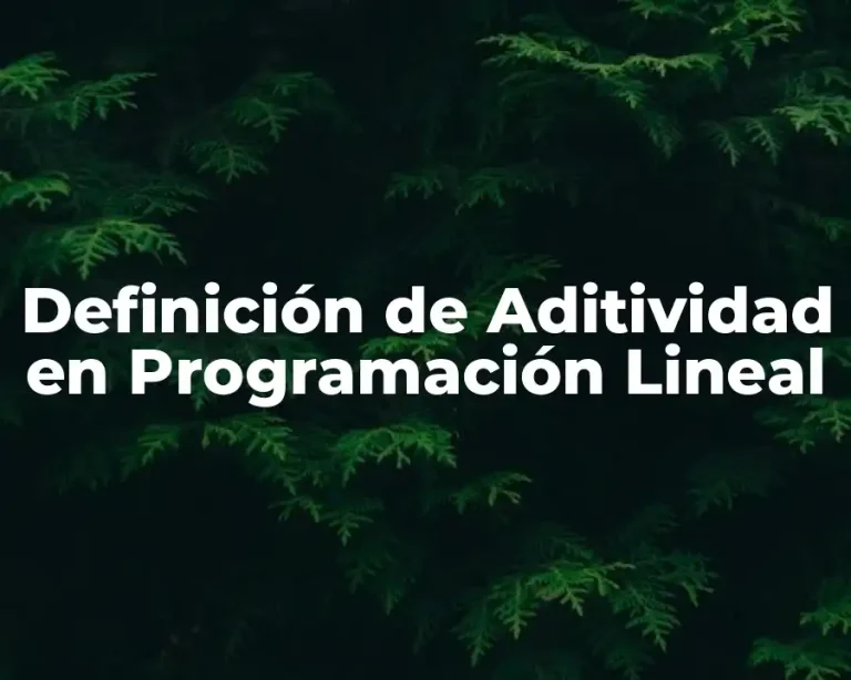 Definición de Aditividad en Programación Lineal