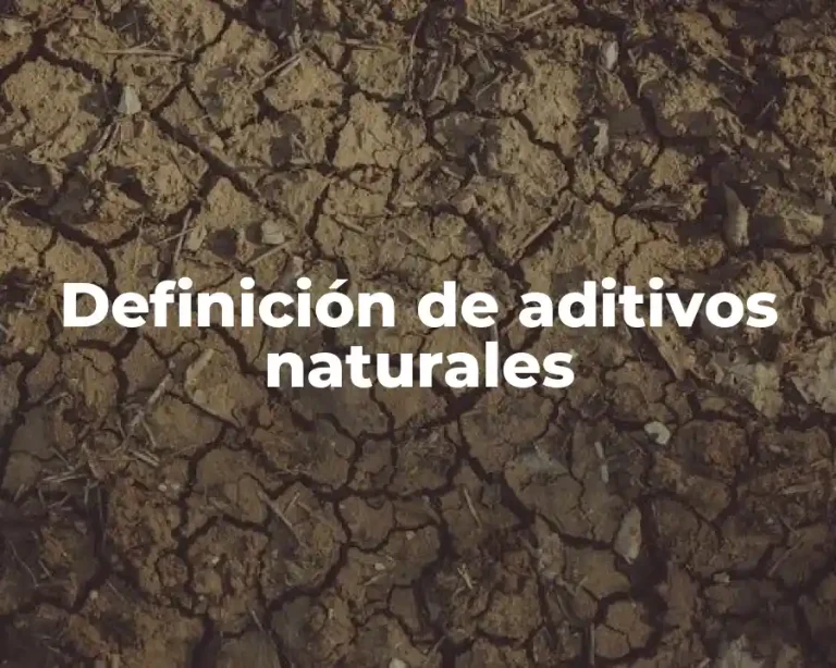 Definición de aditivos naturales