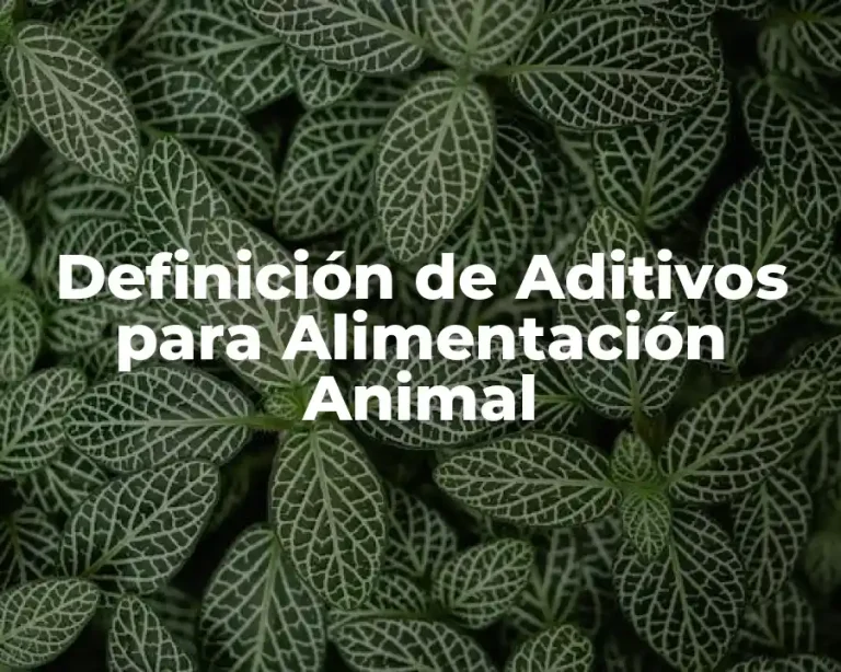 Definición de Aditivos para Alimentación Animal