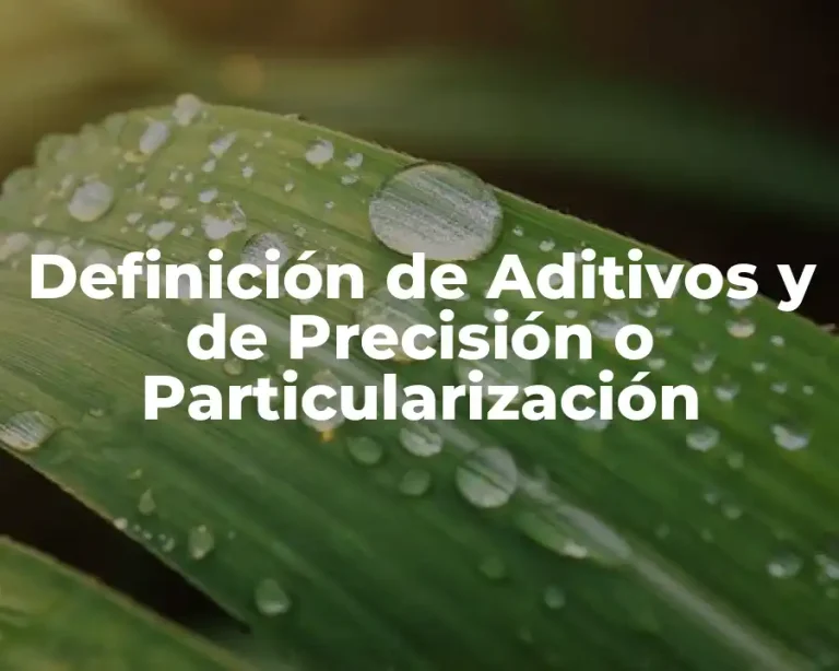 Definición de Aditivos y de Precisión o Particularización