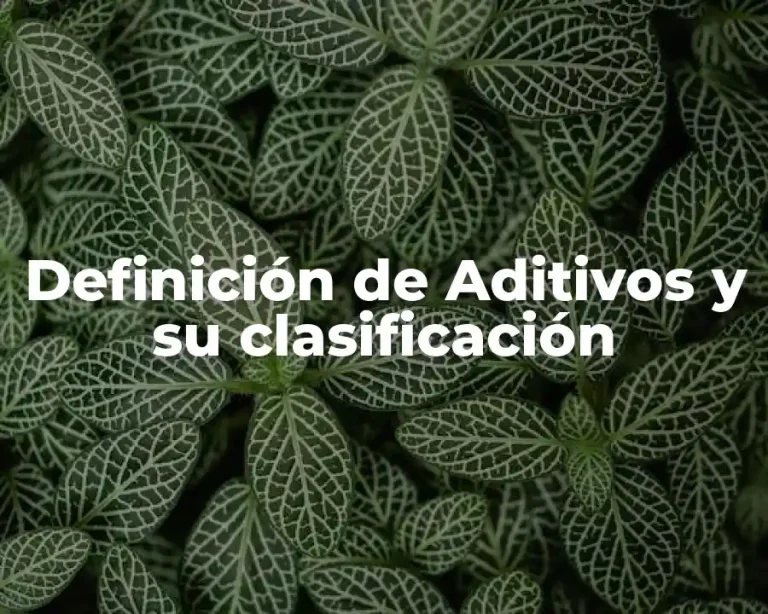 Definición de Aditivos y su clasificación