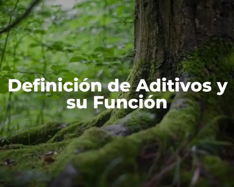 Definición de Aditivos y su Función