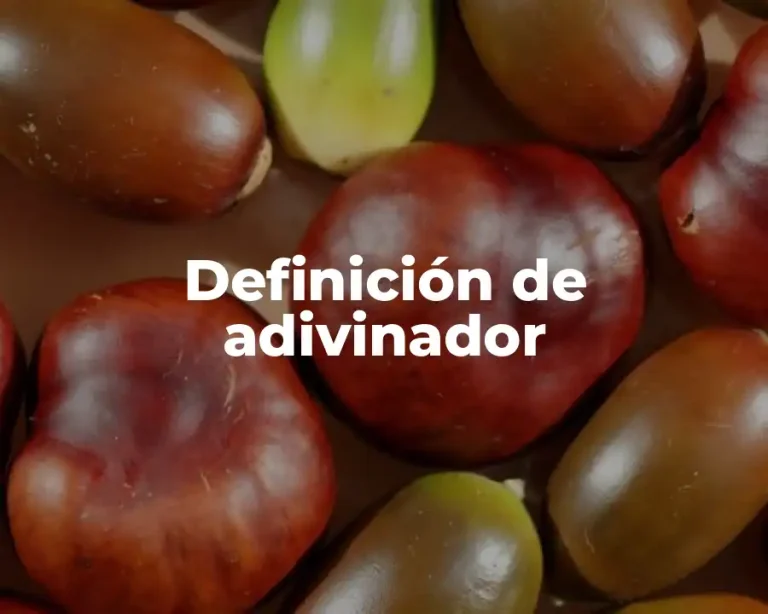 Definición de adivinador