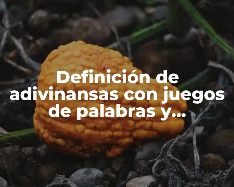 Definición de adivinansas con juegos de palabras y comparasiones