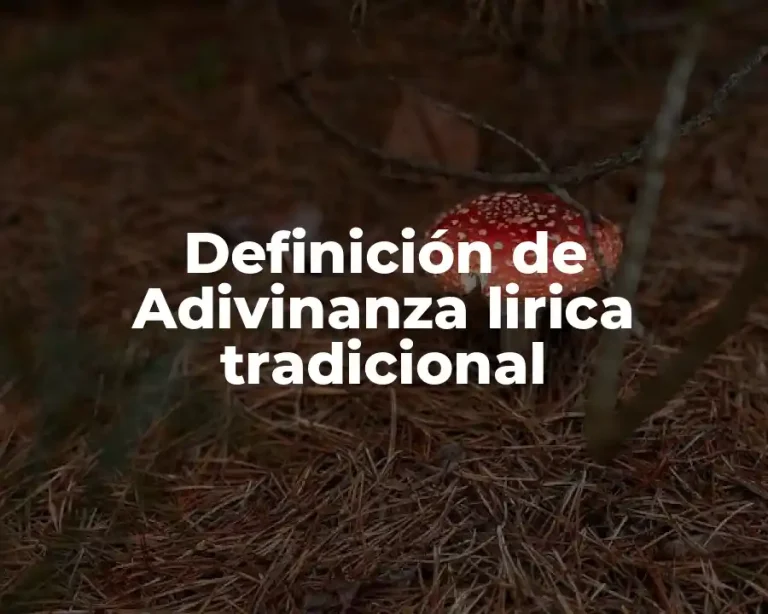 Definición de Adivinanza lirica tradicional