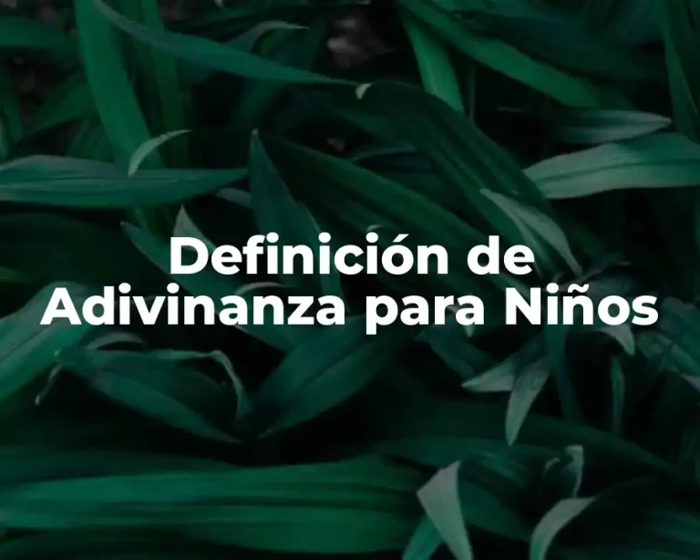 Definición de Adivinanza para Niños