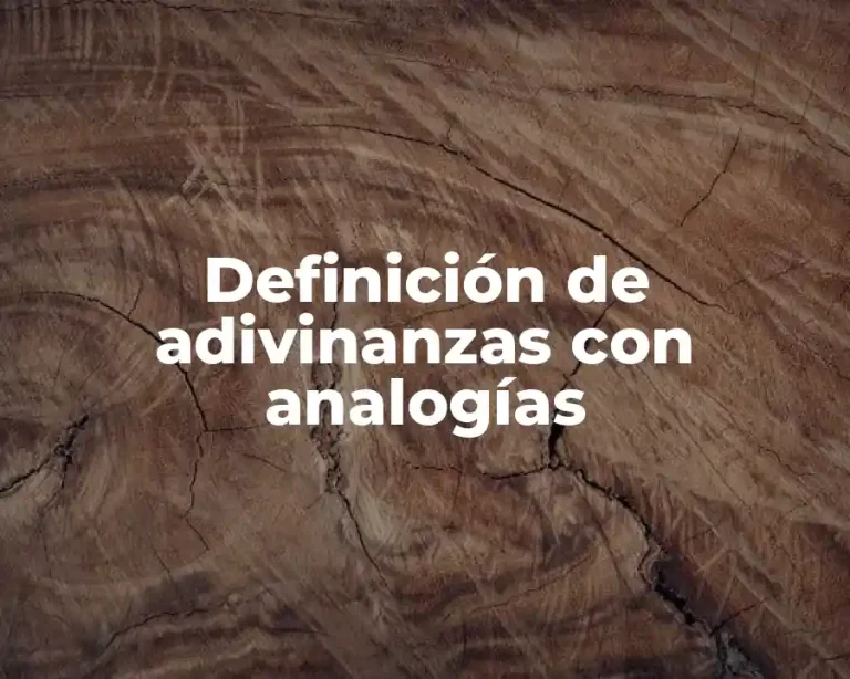 Definición de adivinanzas con analogías