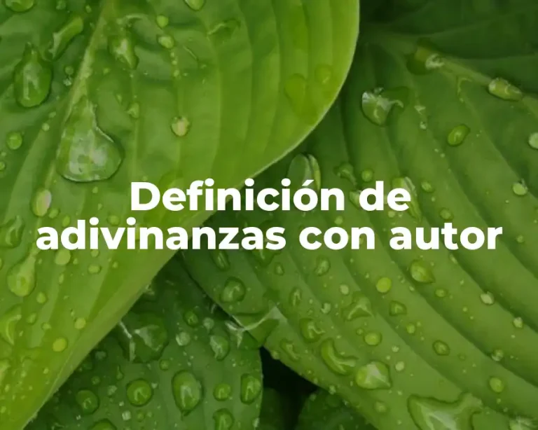Definición de adivinanzas con autor