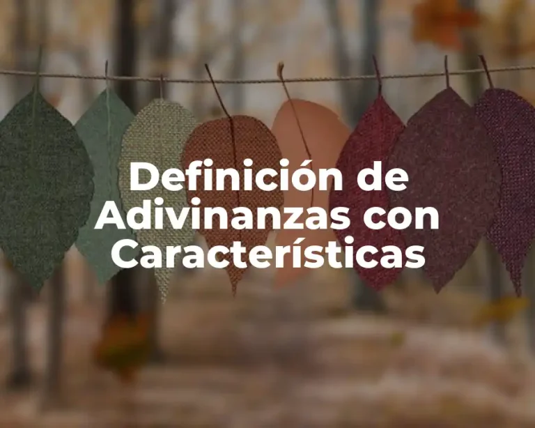 Definición de Adivinanzas con Características