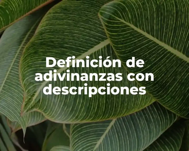 Definición de adivinanzas con descripciones