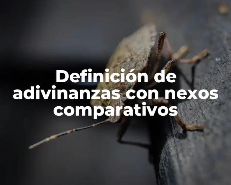 Definición de adivinanzas con nexos comparativos