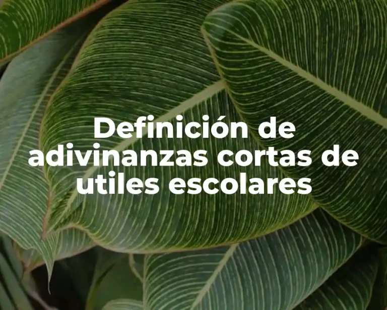 Definición de adivinanzas cortas de utiles escolares