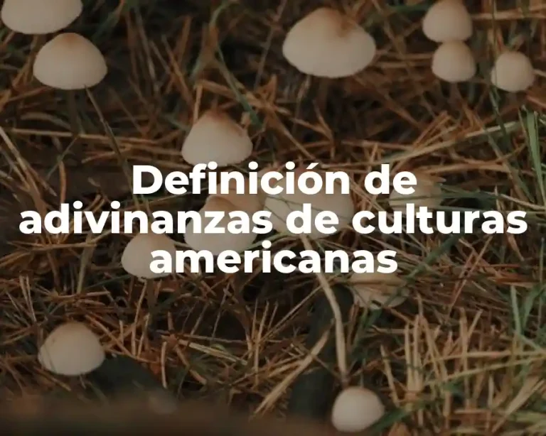 Definición de adivinanzas de culturas americanas