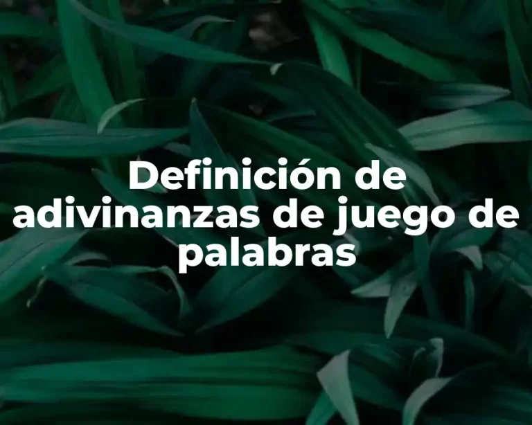 Definición de adivinanzas de juego de palabras
