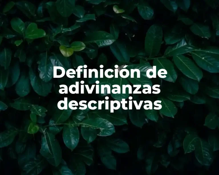 Definición de adivinanzas descriptivas