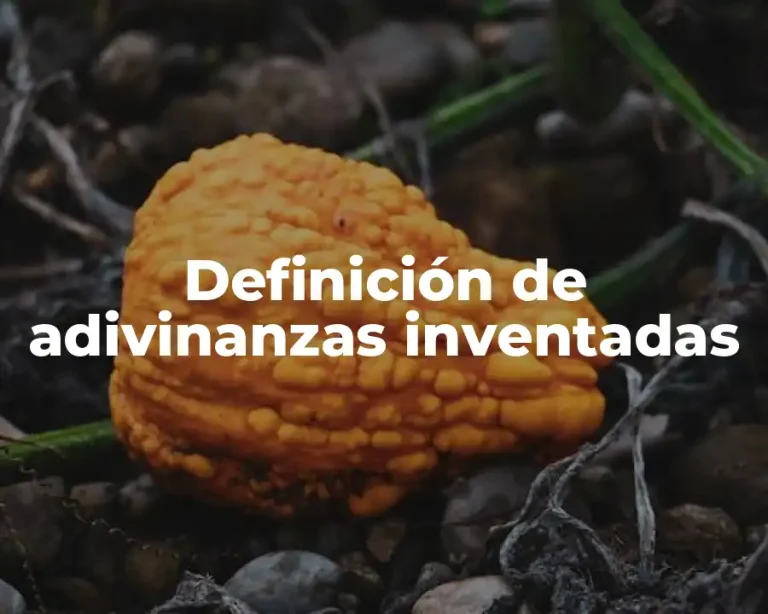 Definición de adivinanzas inventadas