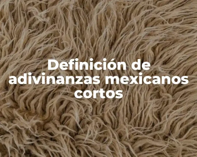 Definición de adivinanzas mexicanos cortos