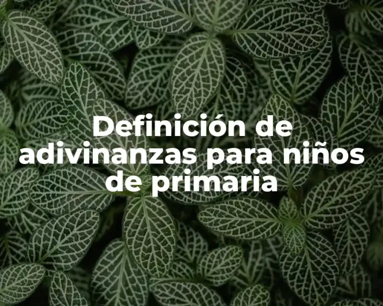 Definición de adivinanzas para niños de primaria