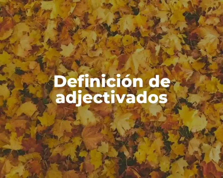 Definición de adjectivados