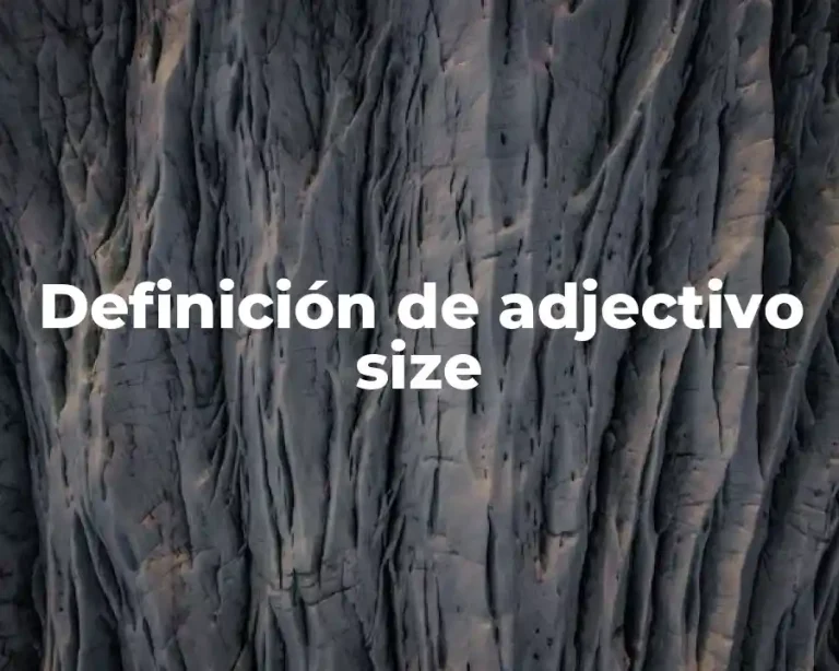 Definición de adjectivo size