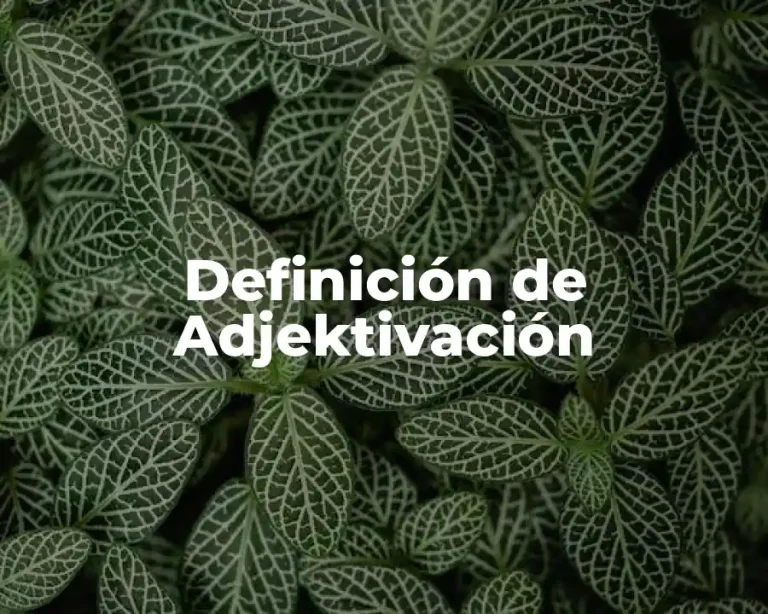 Definición de Adjektivación