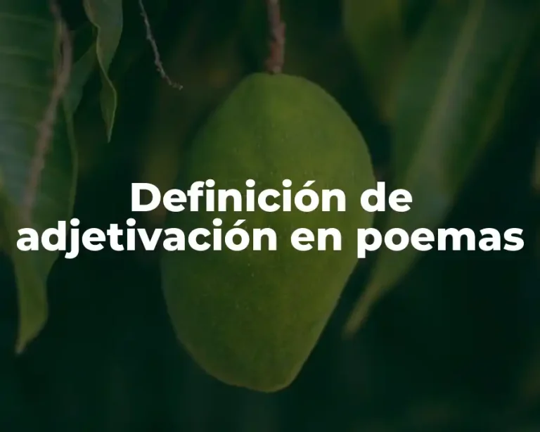 Definición de adjetivación en poemas