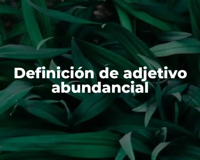 Definición de adjetivo abundancial