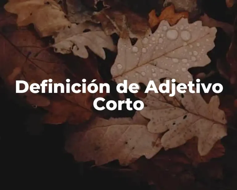 Definición de Adjetivo Corto