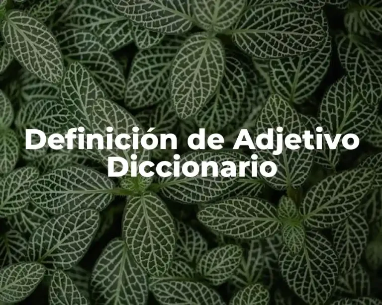 Definición de Adjetivo Diccionario