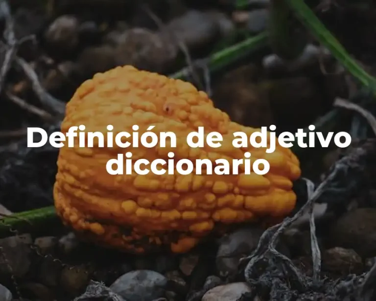 Definición de adjetivo diccionario