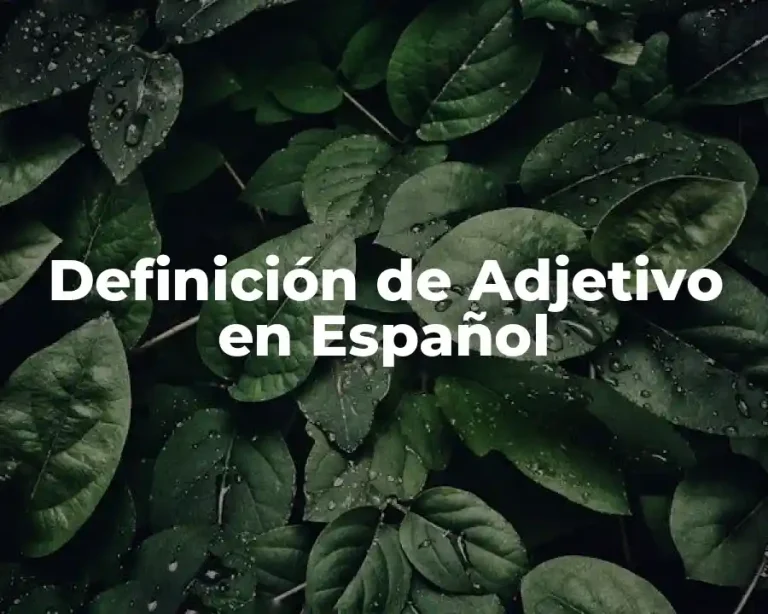 Definición de Adjetivo en Español