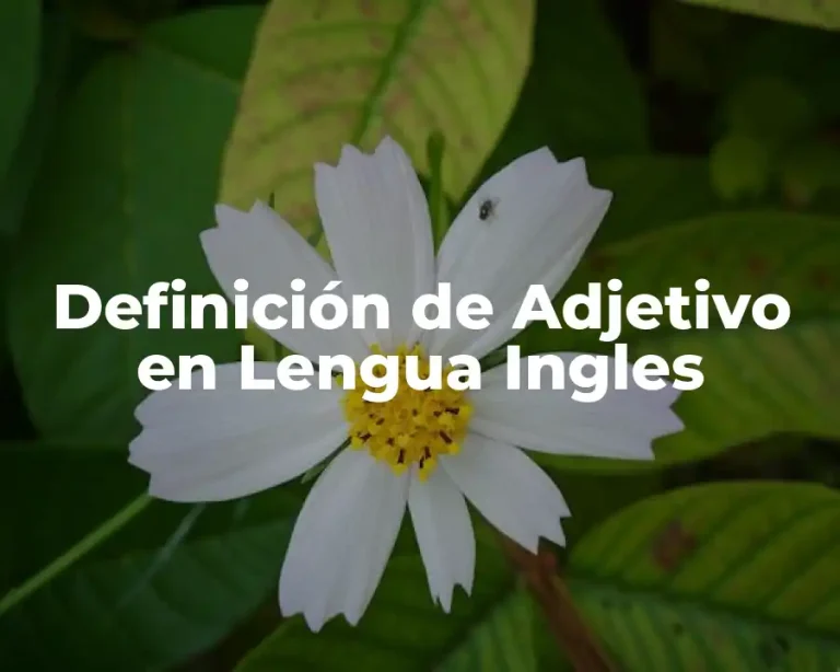 Definición de Adjetivo en Lengua Ingles