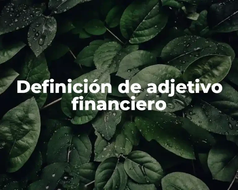 Definición de adjetivo financiero