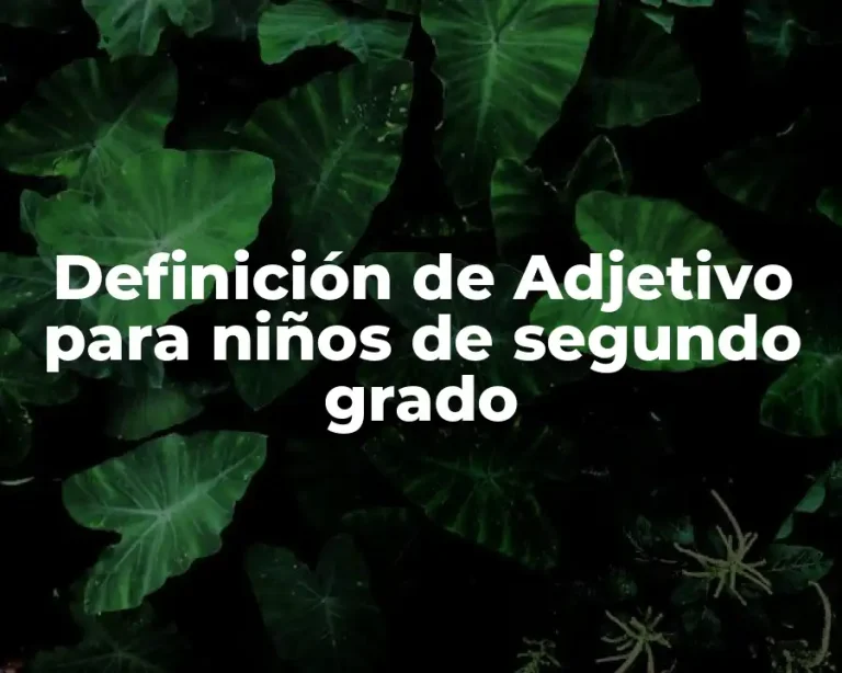 Definición de Adjetivo para niños de segundo grado