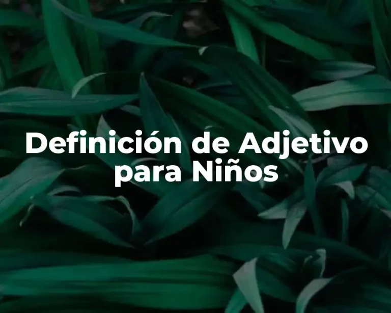 Definición de Adjetivo para Niños
