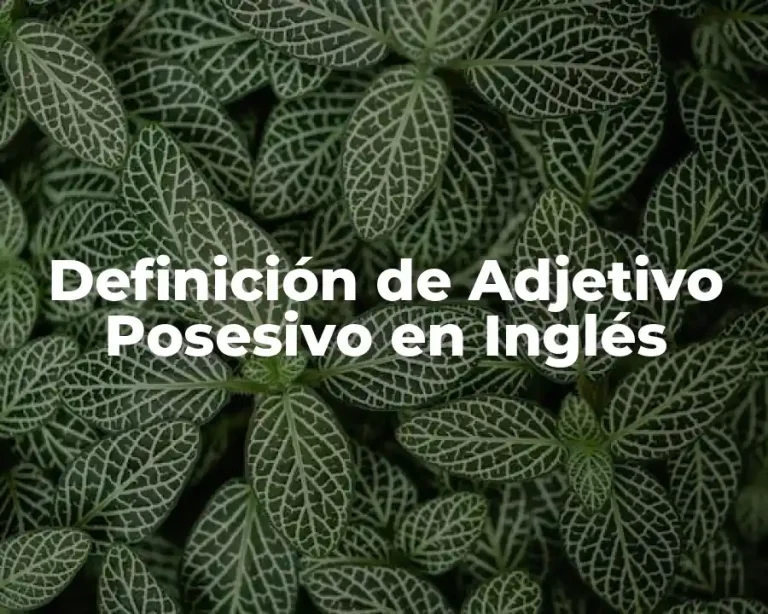 Definición de Adjetivo Posesivo en Inglés
