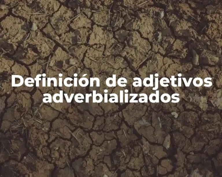 Definición de adjetivos adverbializados