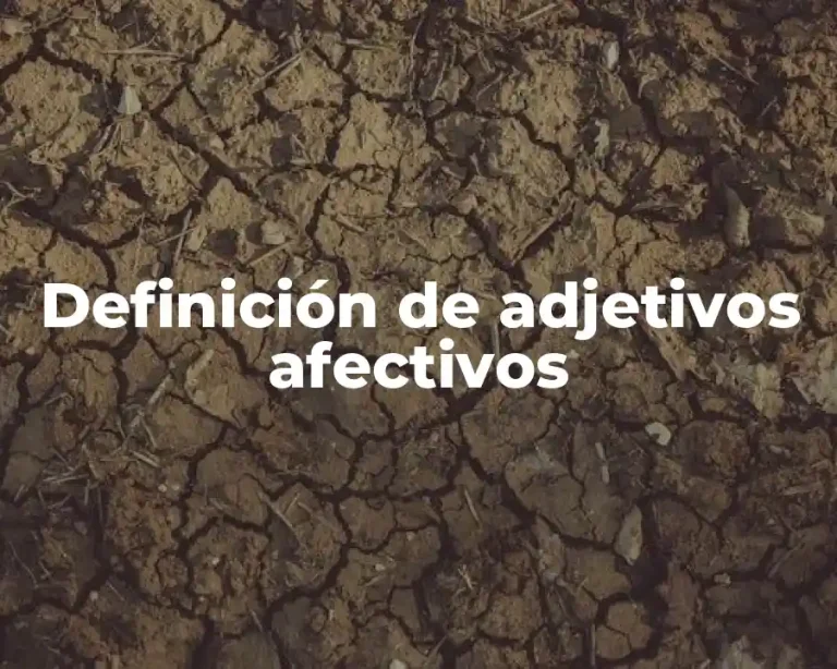 Definición de adjetivos afectivos