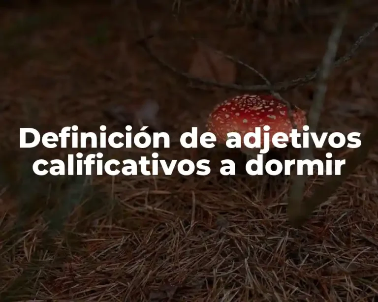 Definición de adjetivos calificativos a dormir