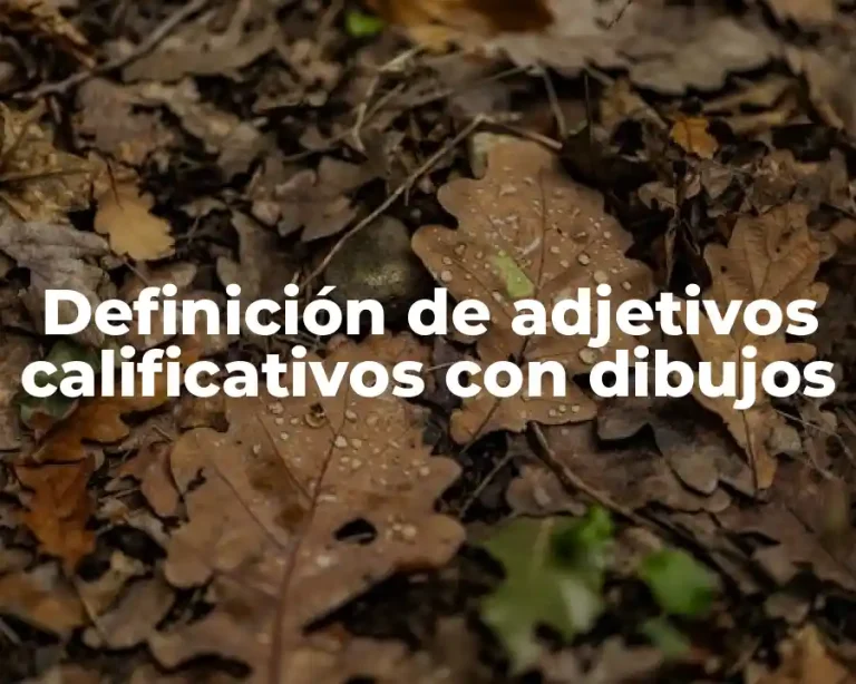 Definición de adjetivos calificativos con dibujos