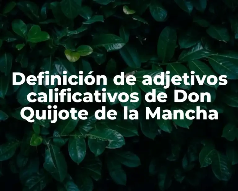 Definición de adjetivos calificativos de Don Quijote de la Mancha