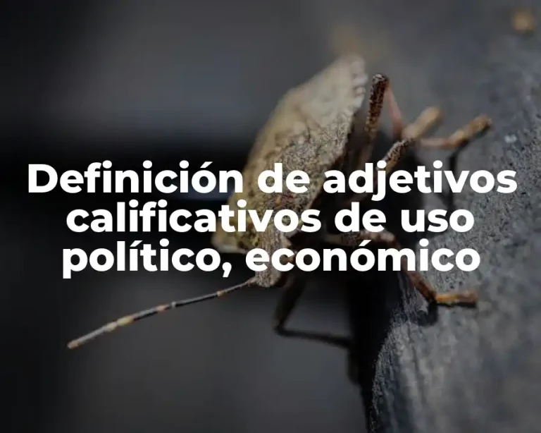Definición de adjetivos calificativos de uso político, económico