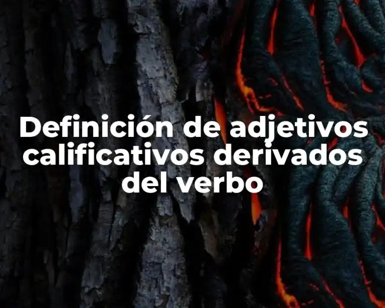 Definición de adjetivos calificativos derivados del verbo